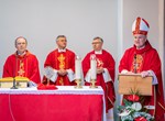 Uz proslavu svetkovine Uzvišenja sv. Križa, zaštitnika sisačke katedrale biskup Radoš predslavio svetu misu
